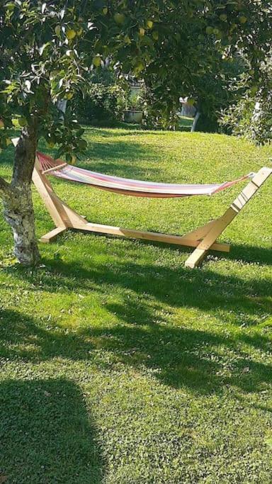 Casa Mea De Vacanta Baia-Sprie Dış mekan fotoğraf