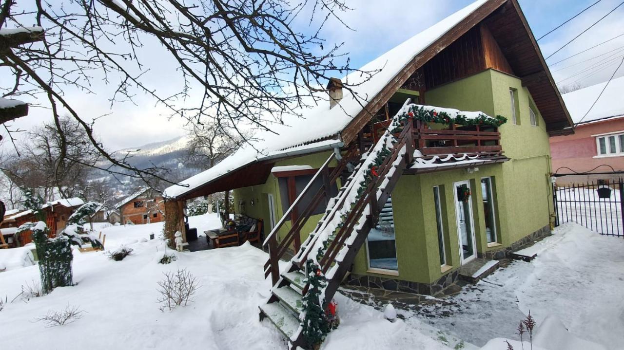 Casa Mea De Vacanta Baia-Sprie Dış mekan fotoğraf
