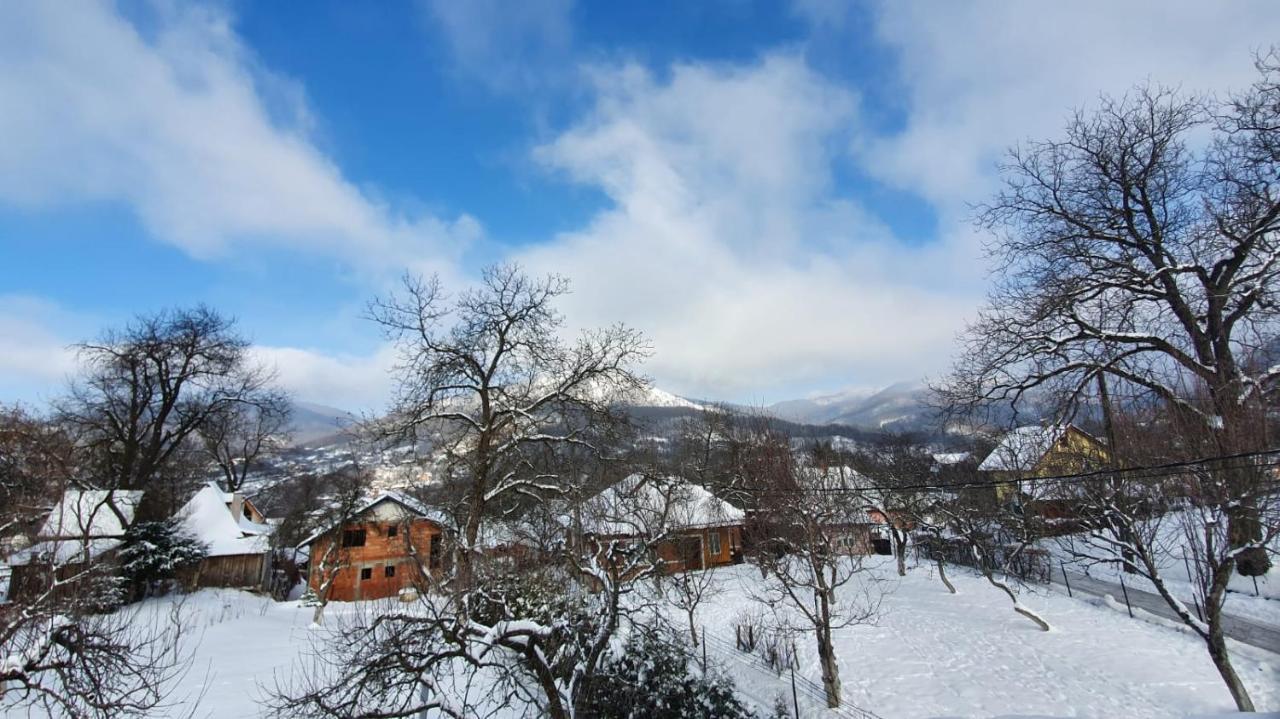 Casa Mea De Vacanta Baia-Sprie Dış mekan fotoğraf