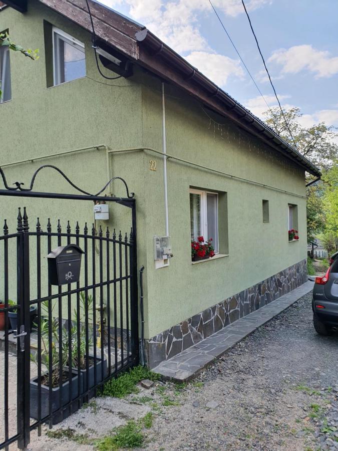 Casa Mea De Vacanta Baia-Sprie Dış mekan fotoğraf
